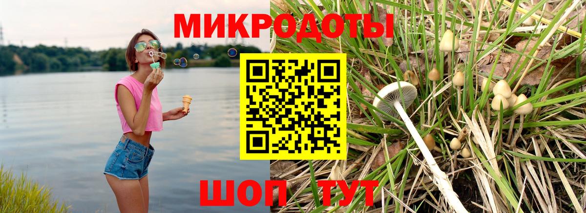 Псилоцибиновые грибы MAGIC MUSHROOMS Пенза